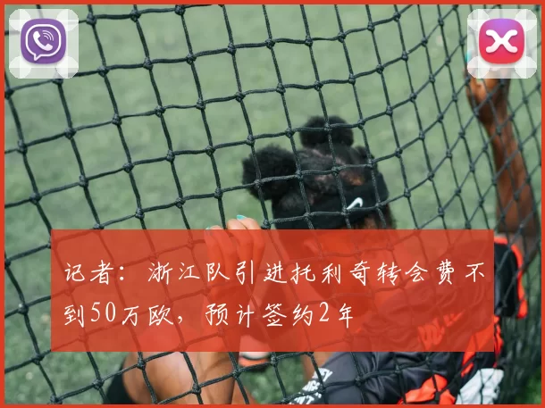 记者：浙江队引进托利奇转会费不到50万欧，预计签约2年