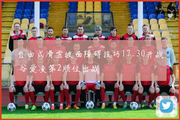 自由式滑雪坡面障碍技巧17_30开战 谷爱凌第2顺位出战