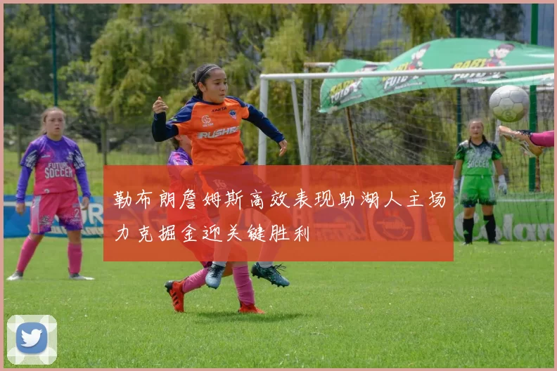 勒布朗詹姆斯高效表现助湖人主场力克掘金迎关键胜利