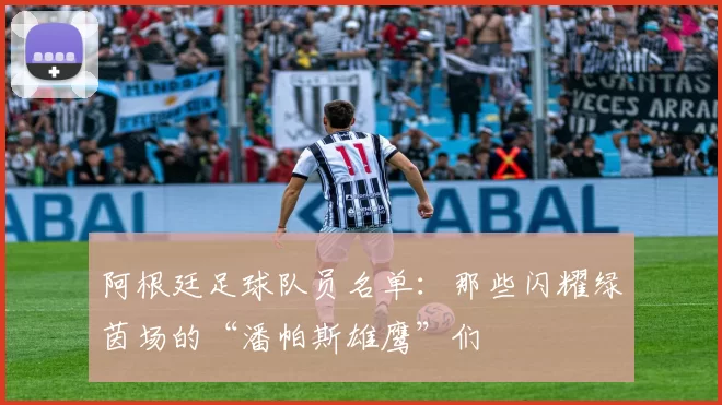 阿根廷足球队员名单：那些闪耀绿茵场的“潘帕斯雄鹰”们