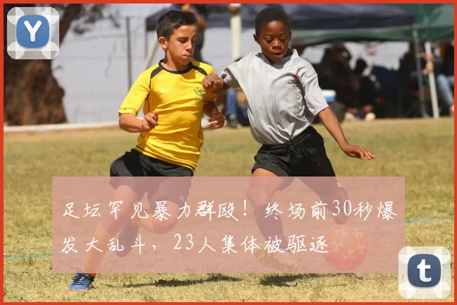 足坛罕见暴力群殴！终场前30秒爆发大乱斗，23人集体被驱逐