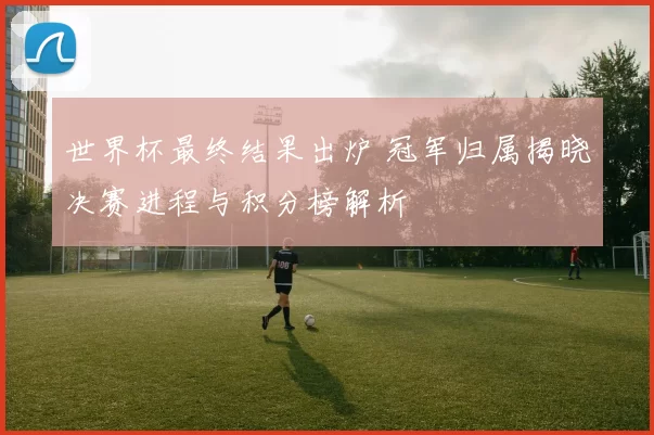 世界杯最终结果出炉 冠军归属揭晓决赛进程与积分榜解析