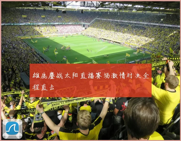 雄鹿鏖战太阳直播赛场激情对决全程直击