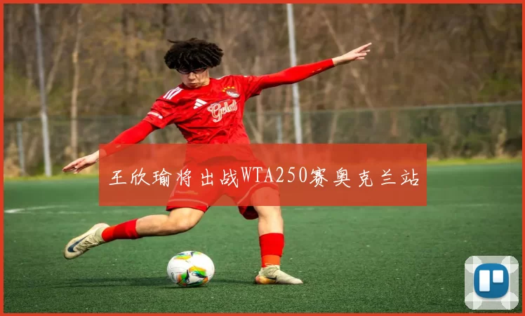 王欣瑜将出战WTA250赛奥克兰站