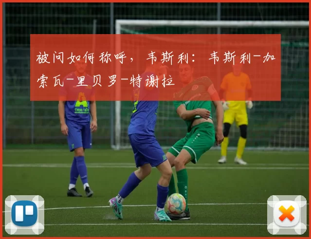 被问如何称呼，韦斯利：韦斯利-加索瓦-里贝罗-特谢拉