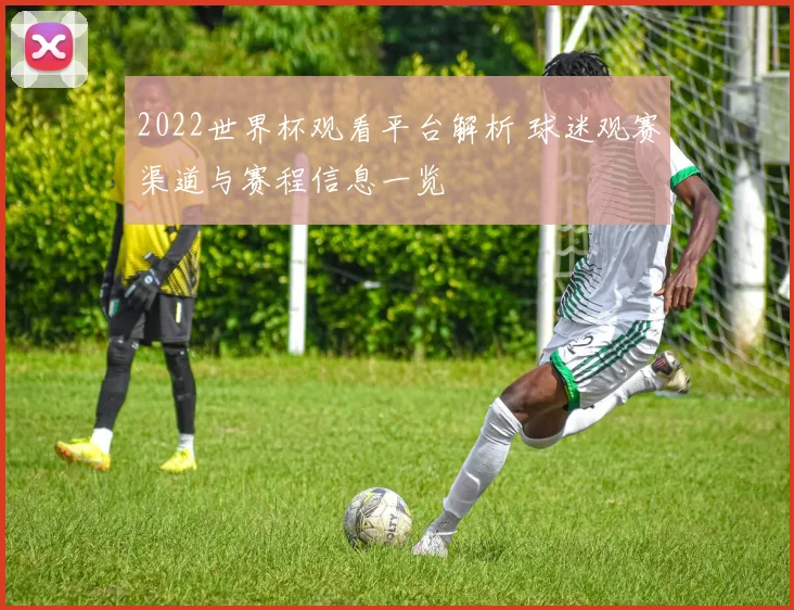 2022世界杯观看平台解析 球迷观赛渠道与赛程信息一览