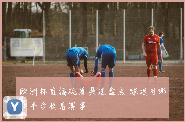 欧洲杯直播观看渠道盘点 球迷可哪些平台收看赛事