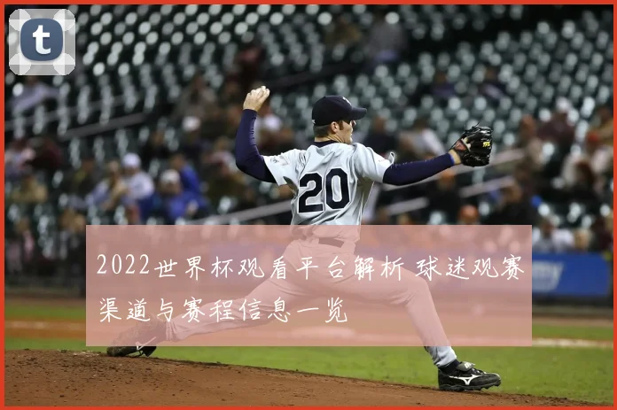 2022世界杯观看平台解析 球迷观赛渠道与赛程信息一览