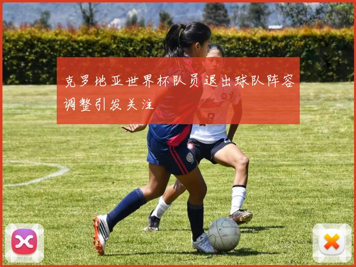 克罗地亚世界杯队员退出球队阵容调整引发关注