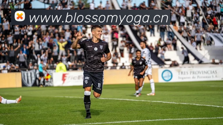 开云(Kaiyun) - 中国官方服务平台平台生态图