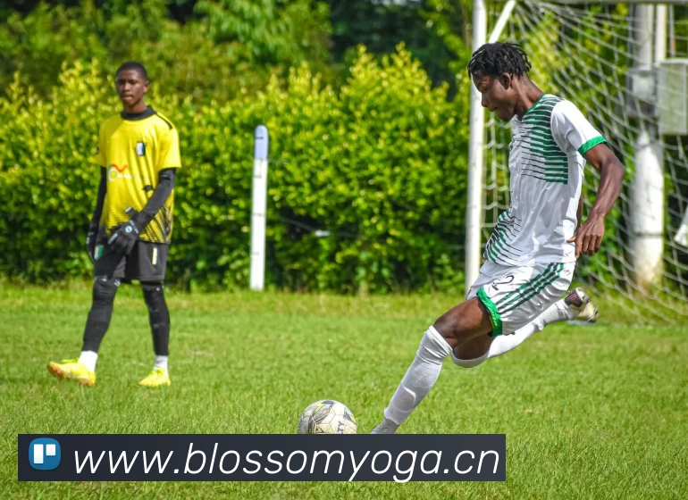 开云(Kaiyun) - 中国官方服务平台全站App